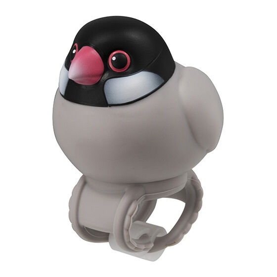 sofvi_personal_marker_band_bird