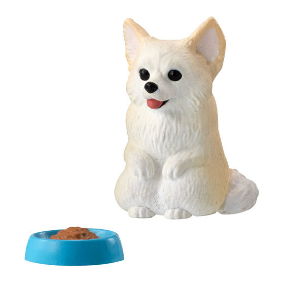 still_waiting_for_you_dog_3