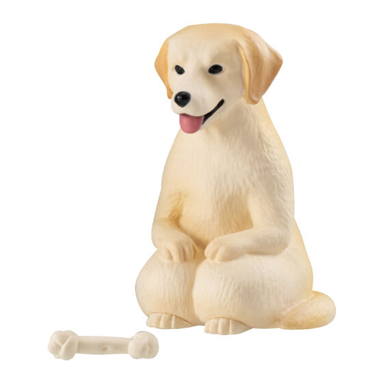 still_waiting_for_you_dog_4