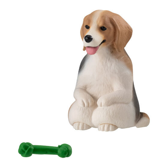 still_waiting_for_you_dog_4