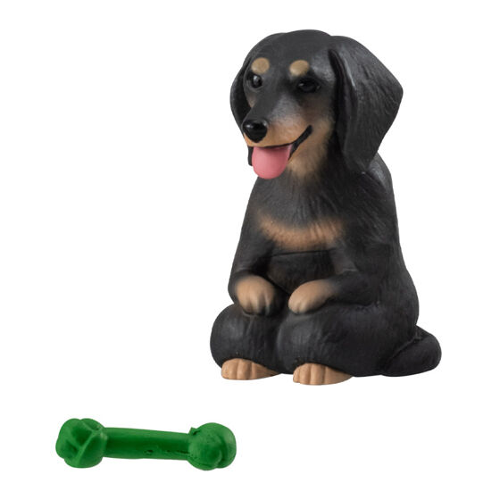 still_waiting_for_you_dog_4