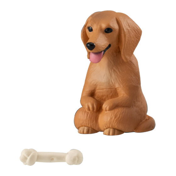 still_waiting_for_you_dog_4