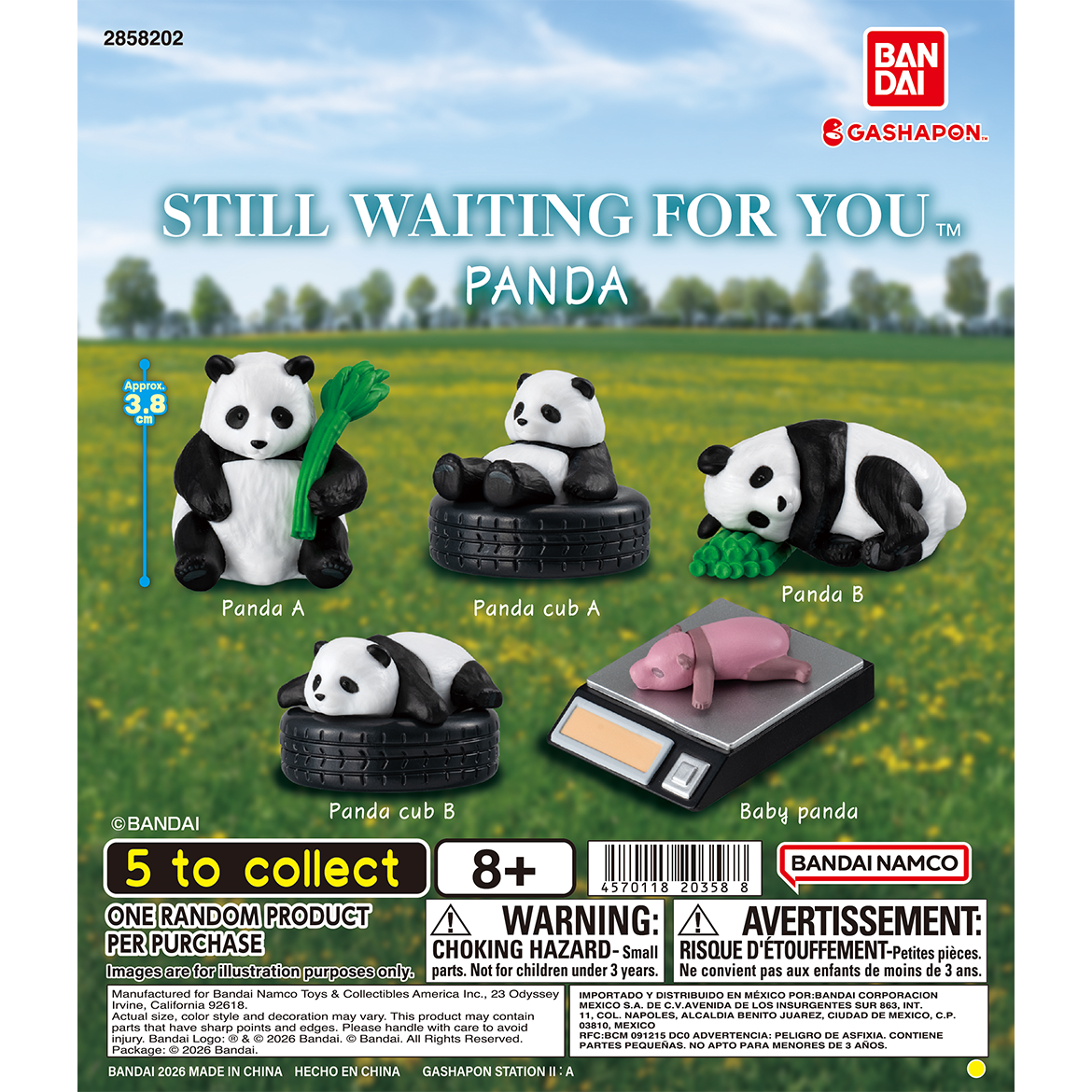 still_waiting_for_you_panda