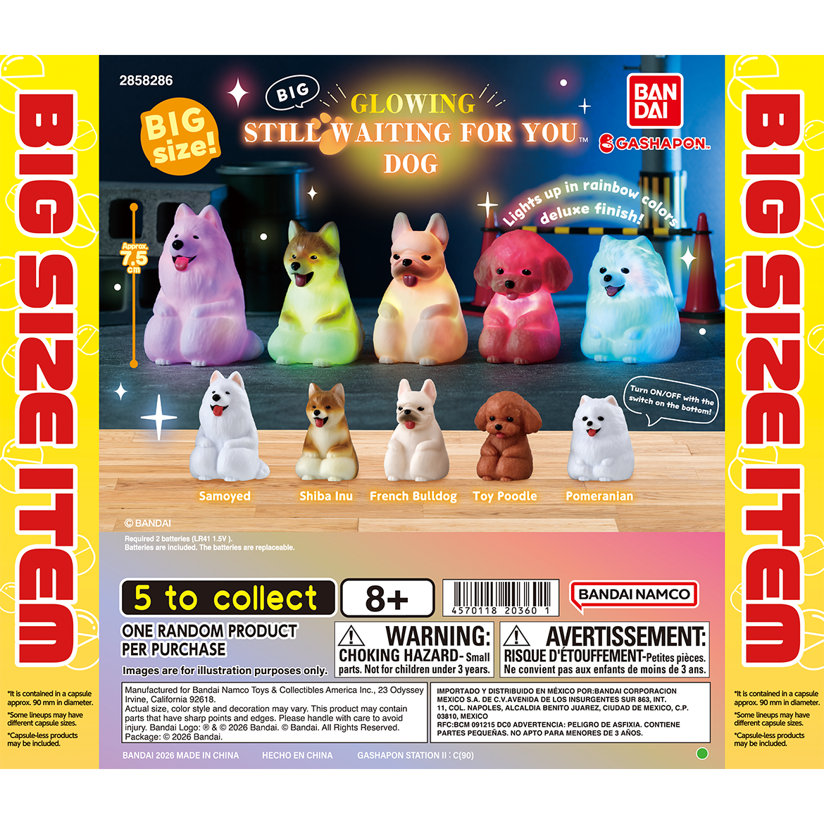【90φ】big_glowing_still_waiting_for_you_dog