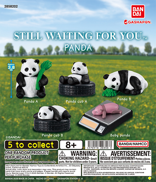 STILL WAITING FOR YOU PANDA